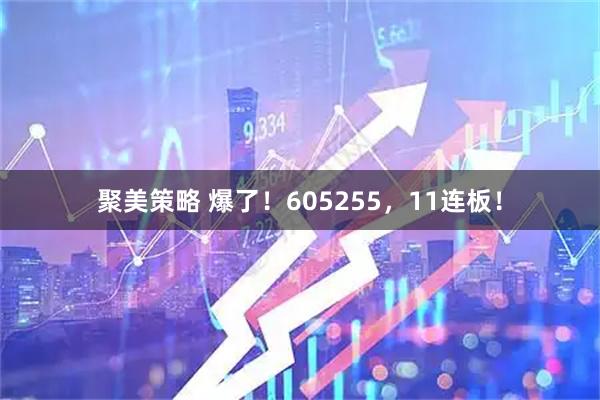聚美策略 爆了！605255，11连板！