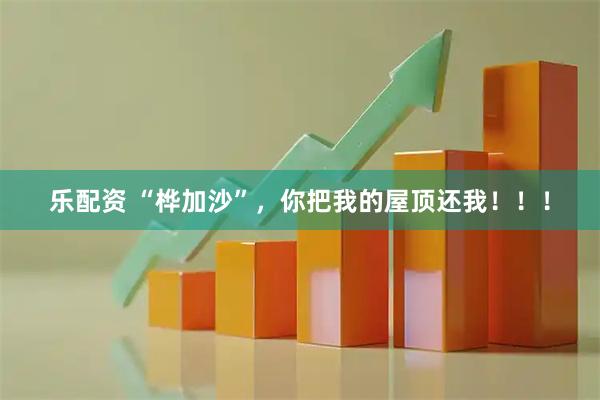 乐配资 “桦加沙”，你把我的屋顶还我！！！