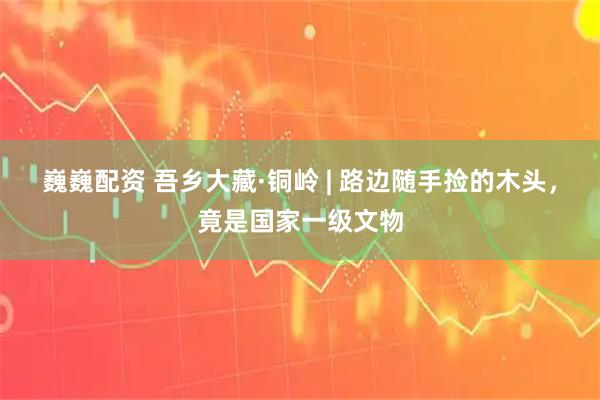 巍巍配资 吾乡大藏·铜岭 | 路边随手捡的木头，竟是国家一级文物