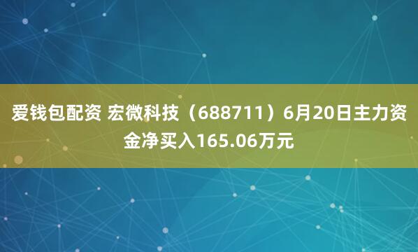 爱钱包配资 宏微科技（688711）6月20日主力资金净买入165.06万元